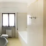 Nel Centro Di Palau
